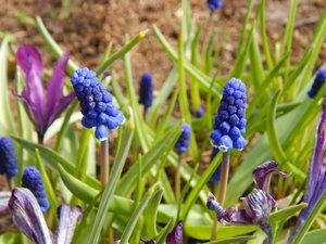 DSCN8124.JPG
