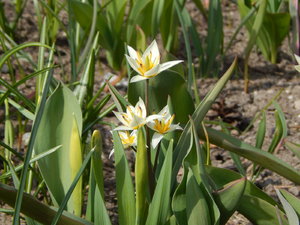 DSCN8126.JPG