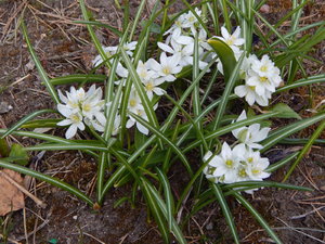 DSCN8128.JPG