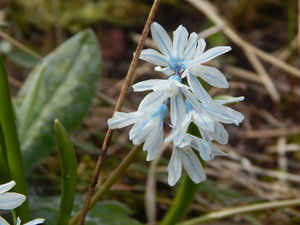 DSCN8174.JPG