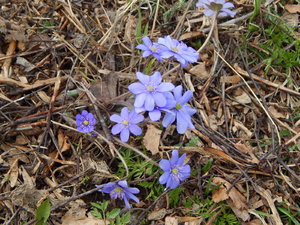 DSCN8104.JPG