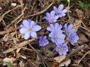 DSCN8108.JPG