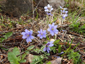 DSCN8163.JPG