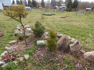 DSCN8164.JPG