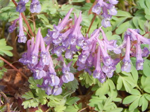 DSCN8112.JPG