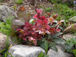 DSCN8162.JPG