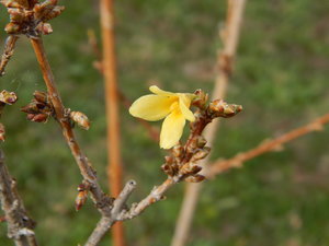 DSCN8173.JPG