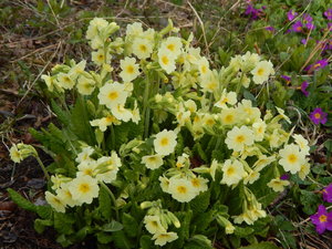 DSCN8177.JPG