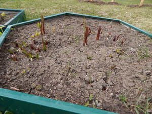 DSCN8153.JPG