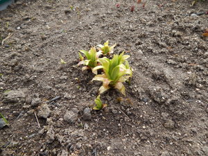DSCN8154.JPG