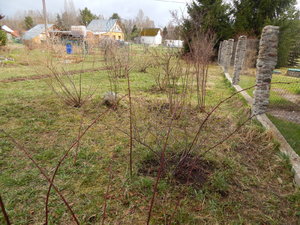 DSCN8180.JPG
