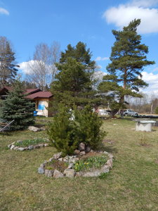 DSCN8118.JPG