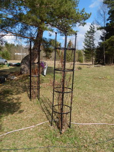 DSCN8135.JPG