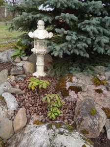 DSCN8141.JPG