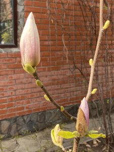 B5F28506-D082-4312-AC57-A71CB5A0CF41.jpeg
