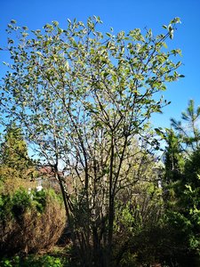 IMG_20220516_170925.jpg