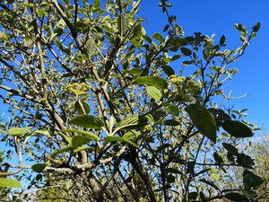 IMG_20220516_170912.jpg