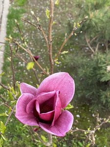 B3619AC5-CBE2-40DA-80D1-0683903AE122.jpeg