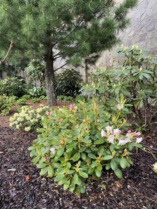 36060161-0851-49BA-AAB0-44BD965C6CF3.jpeg