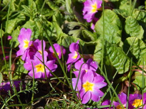 DSCN8184.JPG