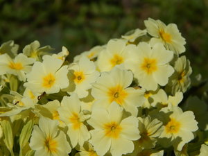 DSCN8187.JPG