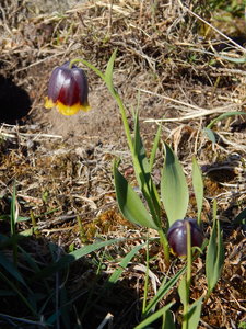 DSCN8190.JPG