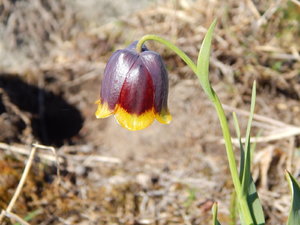 DSCN8192.JPG