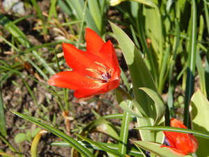 DSCN8195.JPG