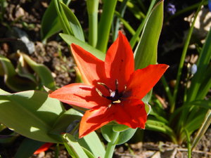 DSCN8198.JPG