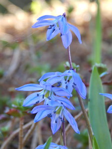 DSCN8204.JPG