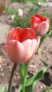 f485b632-8dda-4996-92d7-c1d68295de10.jpg