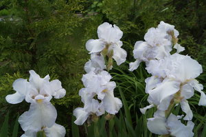 DSC03224.JPG