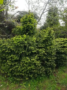 IMG_20220528_082105.jpg