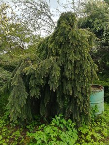 IMG_20220528_082435.jpg