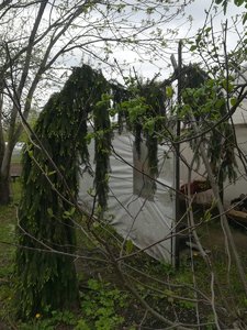 IMG_20220528_082739.jpg