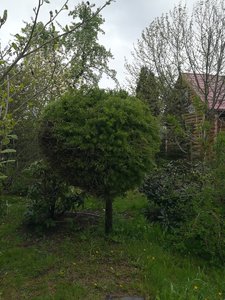 IMG_20220528_082835.jpg
