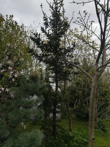 IMG_20220528_082929.jpg