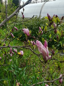 IMG_20220528_082155.jpg