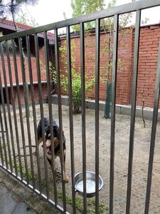 0011AE40-F527-4F09-B907-2ABBDB8248AC.jpeg