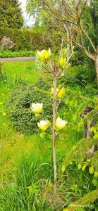 IMG-20220601-WA0002.jpg