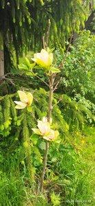 IMG-20220601-WA0004.jpg