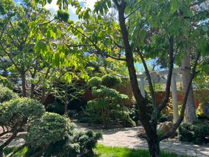 959B844A-582B-4D1C-90DF-4AE3FEB45A70.jpeg