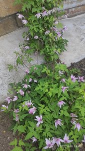IMG_20220606_184653.jpg