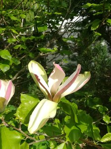 IMG_20220604_163427.jpg