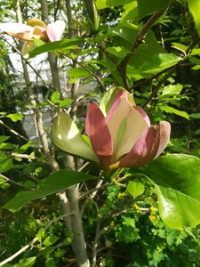 IMG_20220604_163442.jpg