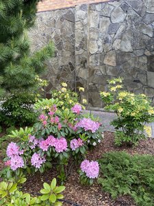 6DE55E9D-2DB4-4526-BF78-30F29E016AB1.jpeg