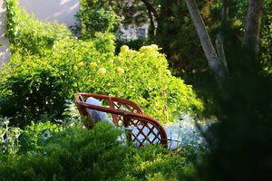 IMG_1900.JPG