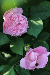 IMG_1864.JPG