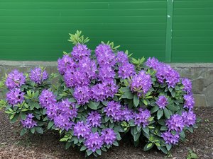 3D219773-9348-47E8-93D5-5AE18DA104E7.jpeg