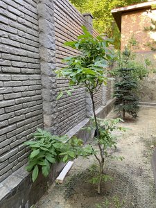 D262CB33-D11A-456D-81BD-1FE430DE2708.jpeg